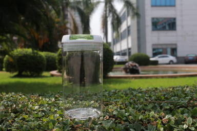FDA-gebilligter recyclebarer Plastikbehälter mit verschließbarem Deckel BPA frei